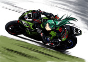 Kawasaki ZX-10R "Tom Sykes 2013"