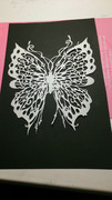 切り絵  蝶