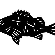 根魚 ニコニコ静画 イラスト