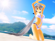 浜辺のハクさん #水着ハク企画