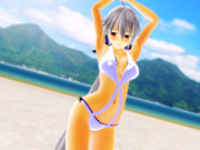 浜辺のハクさん2 #水着ハク企画