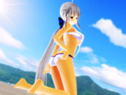 浜辺のハクさん3 #水着ハク企画