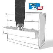 タンスにゴン