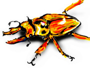 昆虫 ニコニコ静画 イラスト