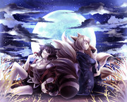 お狸さんとお狐さん