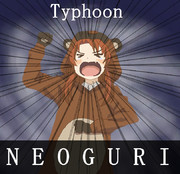 たぬきと聞いて