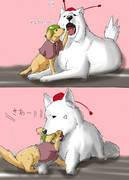 ﾃﾞｭｸｼｰ 前編