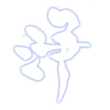 浄