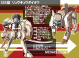 シーサー型