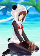 南の島のパンダ