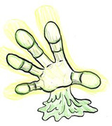 シャイニングハンド