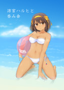 涼宮ハルヒの夏と水着と海