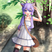 ジャケットイラスト