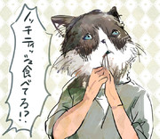 ティッシュノッチ