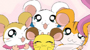リボンちゃん とっとこハム太郎 ニコニコ静画 イラスト