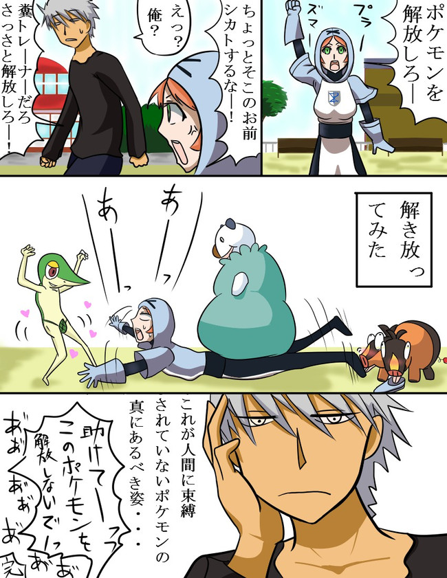 インスピレーション ポケモン プラズマ 団 検索画像の壁紙