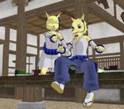 【第一回滅多に見ない二人組選手権】 インヨウの休日