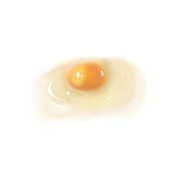 生卵 ニコニコ静画 イラスト