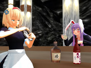 アリスとうどんげ