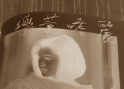 木下真理子先生の作品を臨模