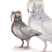 ハトになったそ。