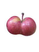 ふしぎなリンゴ発見( ≧Д≦)ﾉ.png