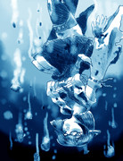 １９４２年１１月１５日、戦艦霧島没す