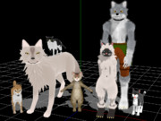 某戦争に一石を投じてみる