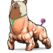 めっっっっちゃマッソー