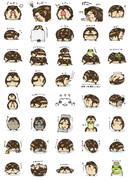 アメフクラガエル