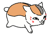 【GIF】にゃんこ先生歩く