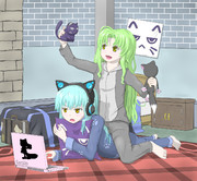 自室でくつろげないプラトーさん