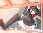 こたつりんちゃん