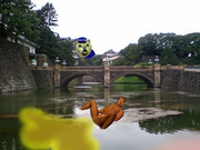 コ↑キョ↓（皇居）