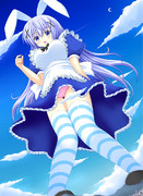 不思議の国のチノ