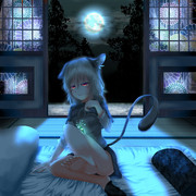 今夜は少し、明るすぎるな