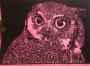 【切り絵】アフリカオオコノハズクさん