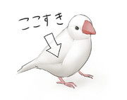 フェチポイント