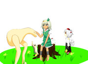 古代文明の調べ