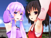 うちの腋巫女と腋ゆかりん