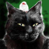 どこを見ている…上だ