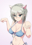 水着あーにゃん