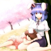 兎追いしかの山