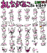 あしながぬこさんのLINEスタンプ