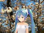 ミクさんと桜（３．２８）