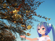 ちびミクさんと桜３．２８