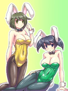 バニーガール 二航戦