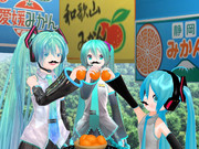 ミカン園の誓い