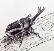 昆虫 ニコニコ静画 イラスト