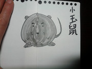 小玉鼠 びふぉー